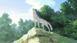 Wolf Children Gif Wolf Children Gif