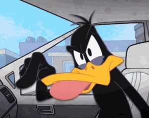 Daffy Duck Gif Daffy Duck Gif