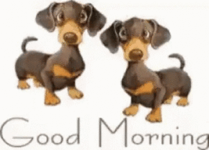 Good Morning Gif Good Morning Gif