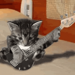 Guitar Gif Guitar Gif