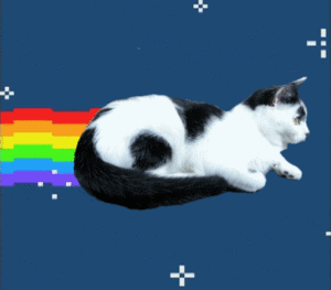 Nyan Cat Gif Nyan Cat Gif