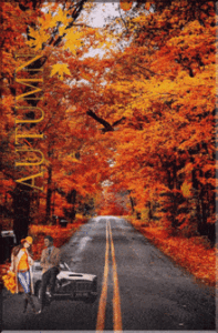 Autumn Gif Autumn Gif