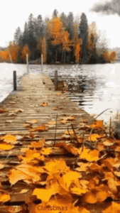 Autumn Gif Autumn Gif