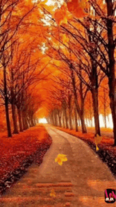 Autumn Gif Autumn Gif