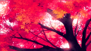 Autumn Gif Autumn Gif