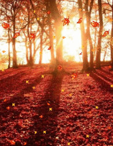 Autumn Gif Autumn Gif