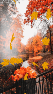 Autumn Gif Autumn Gif