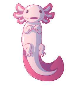 Axolotl Gif Axolotl Gif