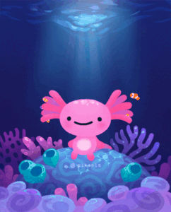 Axolotl Gif Axolotl Gif
