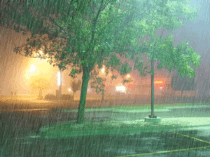 Rain Day Gif Rain Day Gif