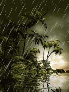 Rain Day Gif Rain Day Gif