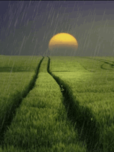 Rain Day Gif Rain Day Gif