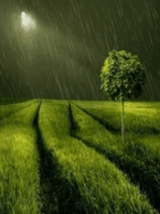 Rain Day Gif Rain Day Gif