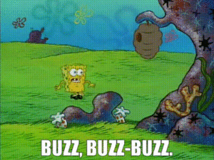 SpongeBob SquarePants Gif SpongeBob SquarePants Gif