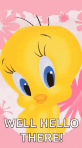 Tweety Gif Tweety Gif