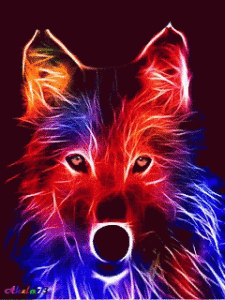 Wolf Gif Wolf Gif