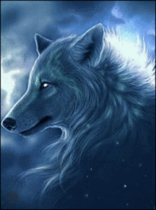 Wolf Gif Wolf Gif