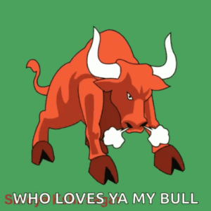Bevo Gif Bevo Gif