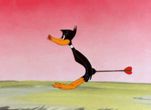 Daffy Duck Gif Daffy Duck Gif