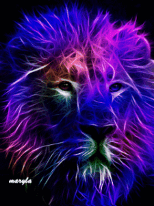 Lion Gif Lion Gif