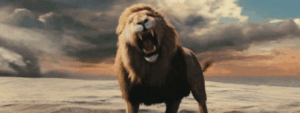 Lion Gif Lion Gif