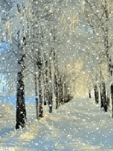 Winter Gif Winter Gif