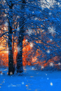 Winter Gif Winter Gif