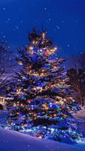 Christmas Tree Gif Christmas Tree Gif