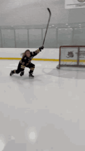 Ice Hockey Gif Ice Hockey Gif