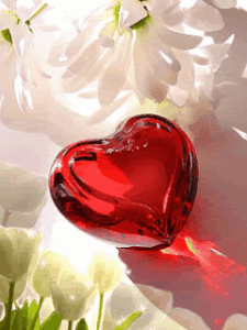 I Love You Gif I Love You Gif