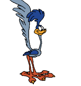 Roadrunner Gif Roadrunner Gif