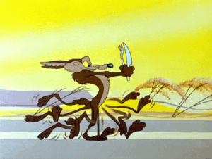 Roadrunner Gif Roadrunner Gif