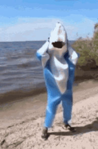 Katy Perry Shark Gif Katy Perry Shark Gif