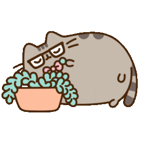 Pusheen Gif Pusheen Gif