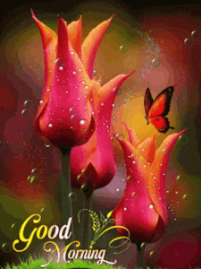 Good Morning Gif Good Morning Gif