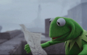 Kermit The Frog Gif Kermit The Frog Gif