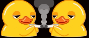 Smoking Duck Gif Smoking Duck Gif