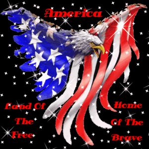 Memorial Day Gif Memorial Day Gif