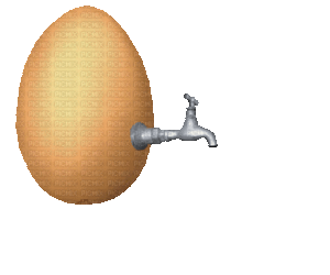 Egg Gif Egg Gif