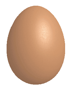Egg Gif Egg Gif