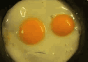 Egg Gif Egg Gif