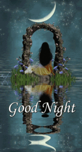 Good Night Gif Good Night Gif