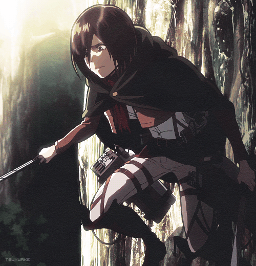Attack On Titan Gif Attack On Titan Gif