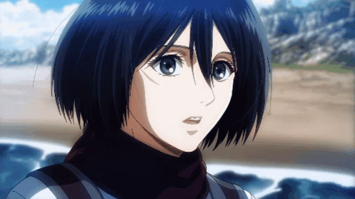 Attack On Titan Gif