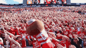 Brutus Buckeye Gif Brutus Buckeye Gif