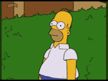 Homer Simpson Gif Homer Simpson Gif