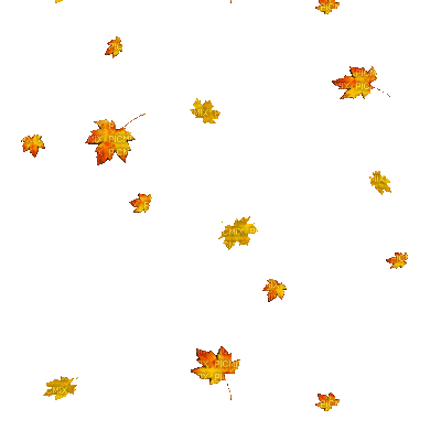 Autumn Gif