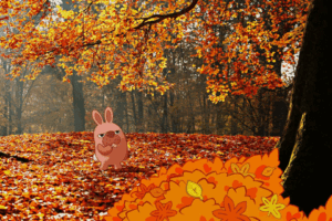 Autumn Gif Autumn Gif