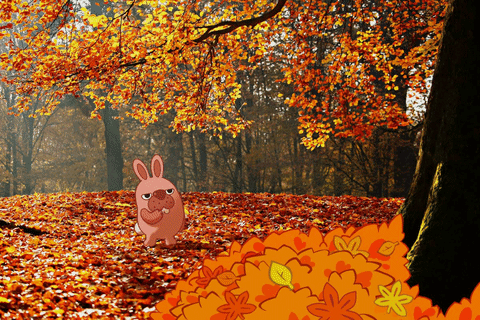 Autumn Gif