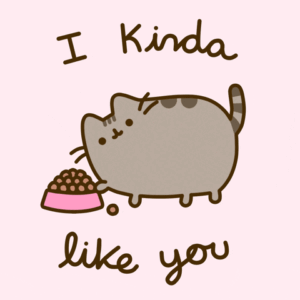 Pusheen Gif Pusheen Gif